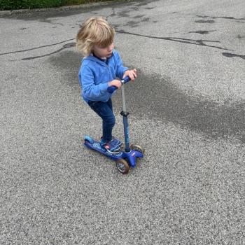 Babysitting job in Kleinandelfingen: babysitting job Daniela