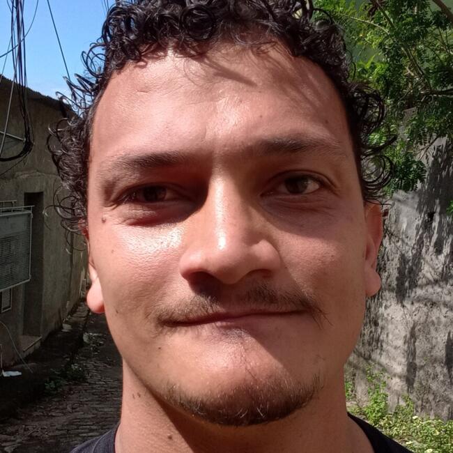 Babysitting job in Vila Velha: Erick