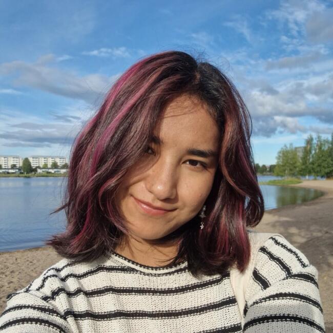 Babysitter in Karlstad: Hadis