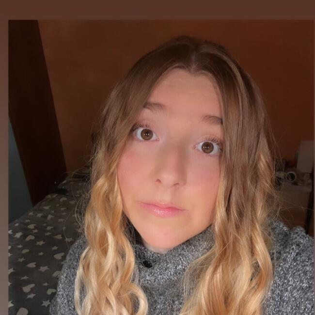 Babysitter a Curtatone: Federica