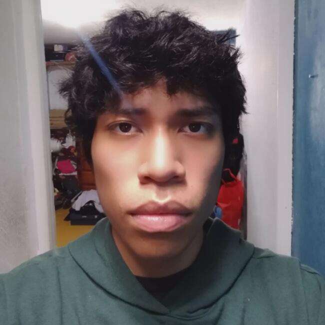 Babysitter in Xalapa: José Manuel Carranza Ledesma