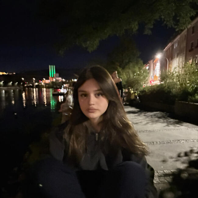 Babysitter in Würzburg: Ajlin