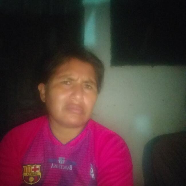 Niñera en Santa Cruz de la Sierra: Reina