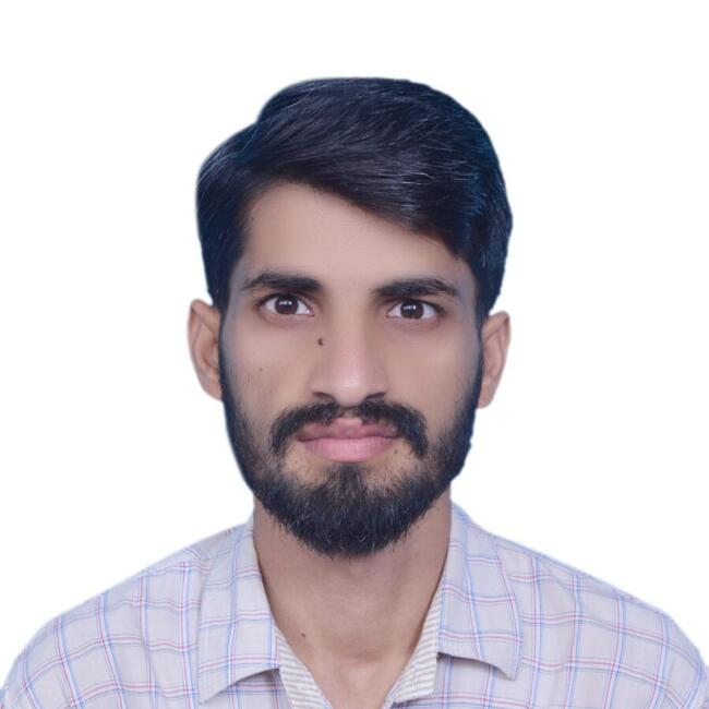 Babysitter in Dresden: Hasnain