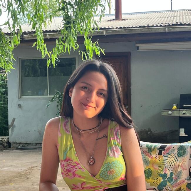 Babysitter in Chillán: Anto