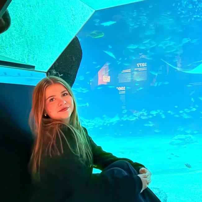 Babysitter in Licques: Anais