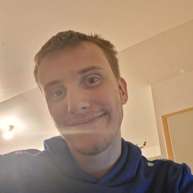 Babysitter in Lecelles: Paul