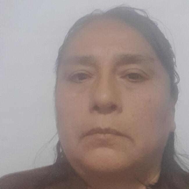 Niñera en Ate: Rosa