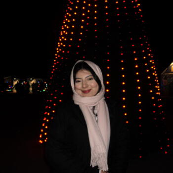 Babysitter Silver Spring: Erika