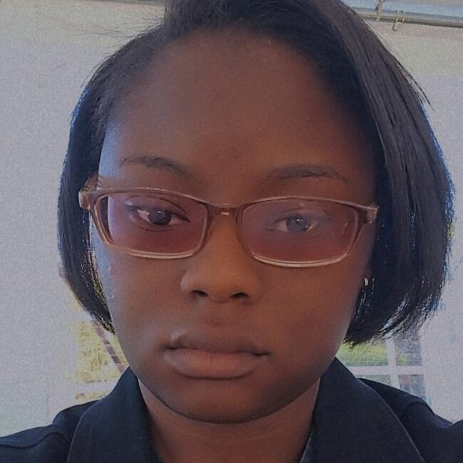 Babysitter in Houston: Alajia Wilkins