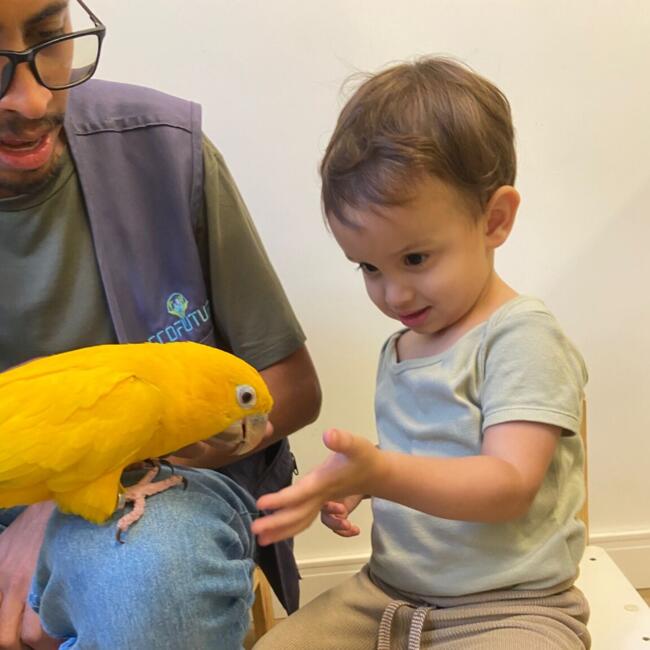 Babysitting job in Rio de Janeiro: Rafael