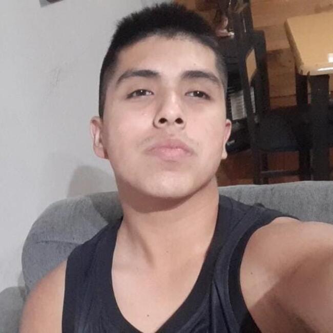 Babysitter in Quilpué: José Miguel Arancibia