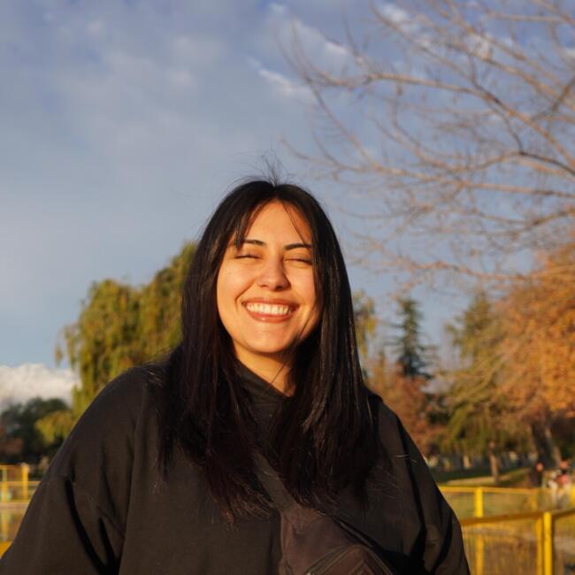 Babysitter in Puente Alto: Libny
