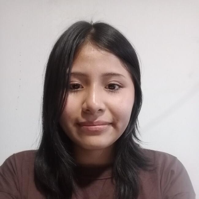 Babysitter in San Juan de Lurigancho: Dayana