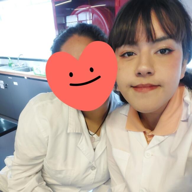 Babysitter in Santiago: Domi Paz