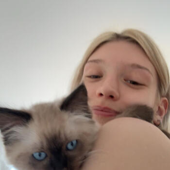 Babysitter in Vienna: Tea