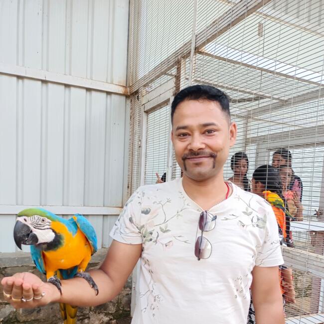 Babysitting job in Bengaluru: Barnali