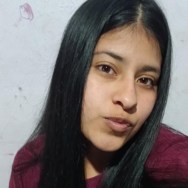 Babysitter in Salta: Aldana