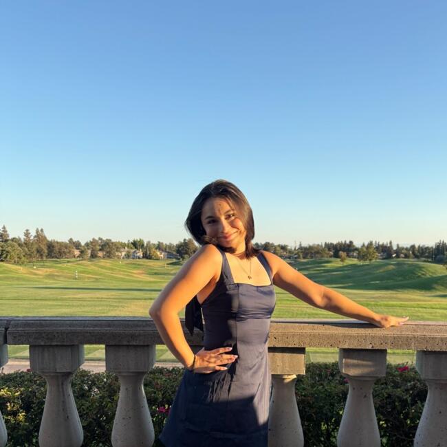 Babysitter in Lincoln (California): Alexis