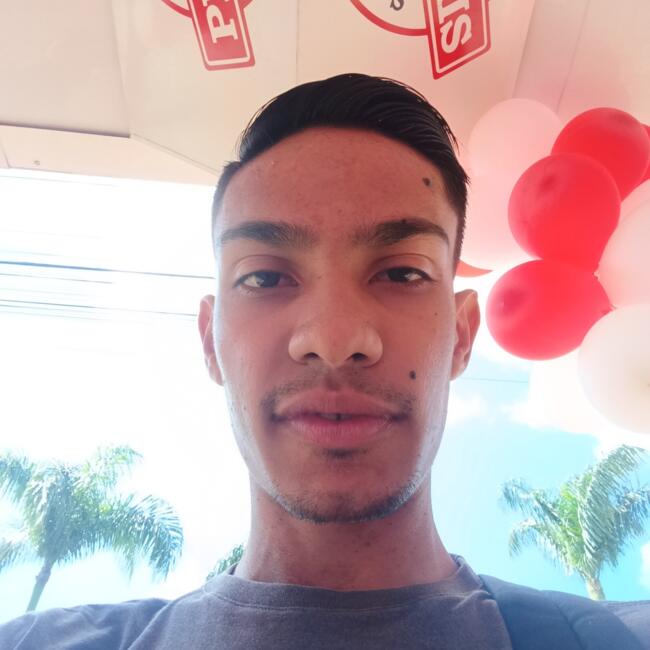 Babysitter in Ponta Grossa: Mateus