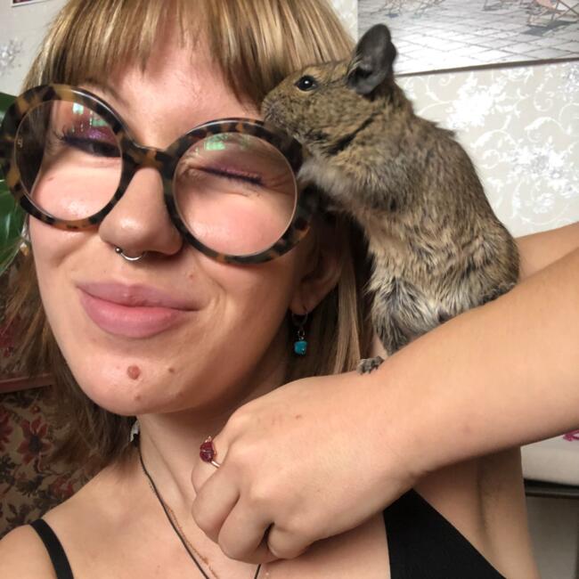 Babysitter στην περιοχή Πόζναν: Pola