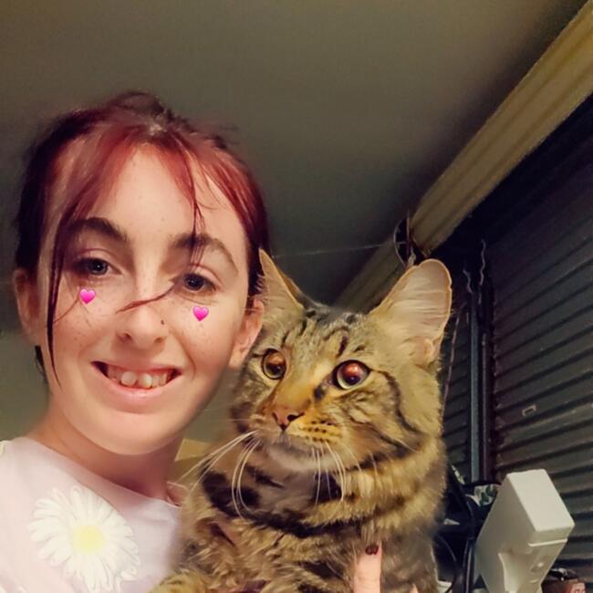 Babysitter in Sunshine Coast: Letty