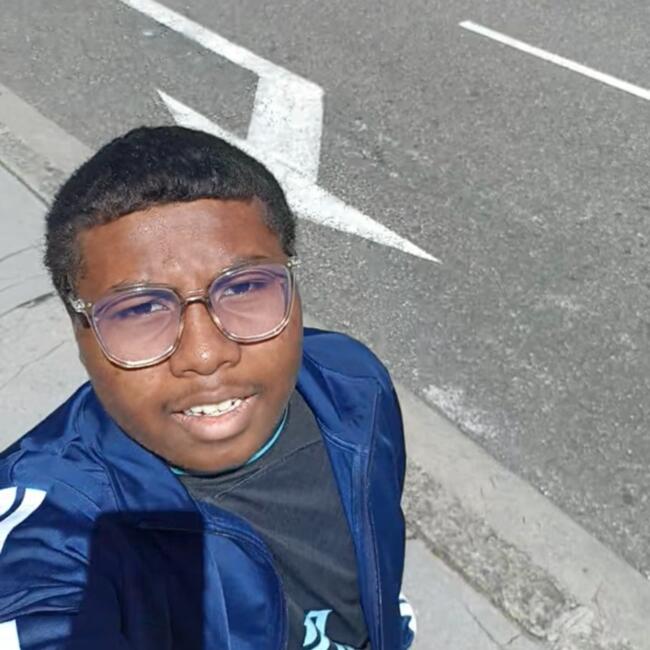 Babysitter in Francheville: Lionnel