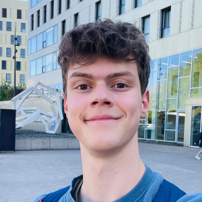 Babysitter in Bischoffsheim: Aymeric