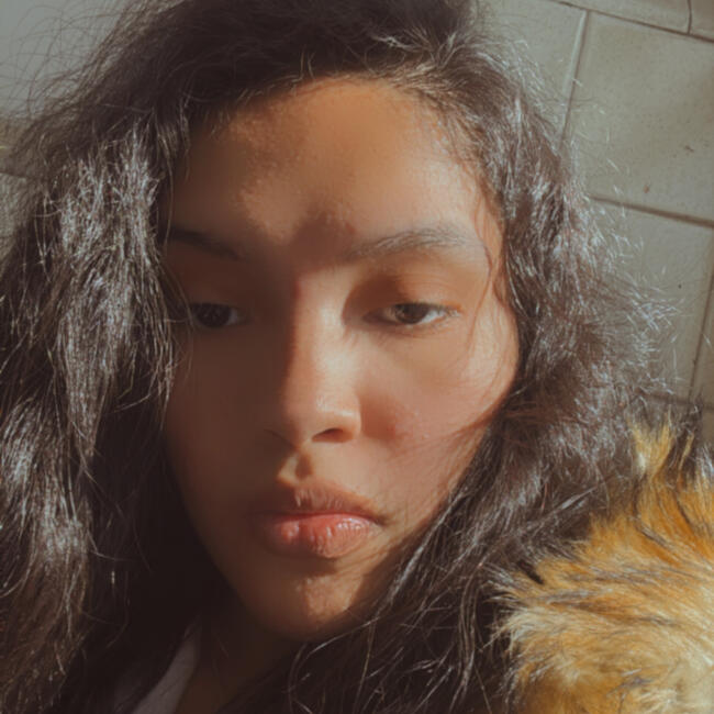 Babysitter in Brooklyn: Fantasia