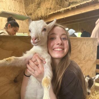 Babysitter in Lelystad: Isa
