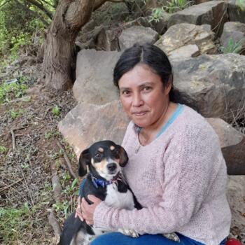 Babysitter in Chimbarongo: Antonieta