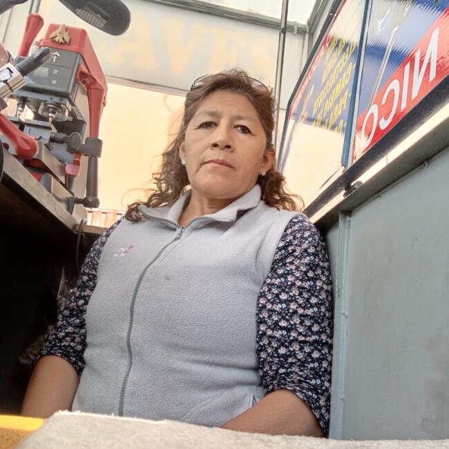 Babysitter in Arequipa: Alejandrina