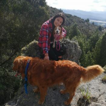 Babysitter Cundinamarca: Carol