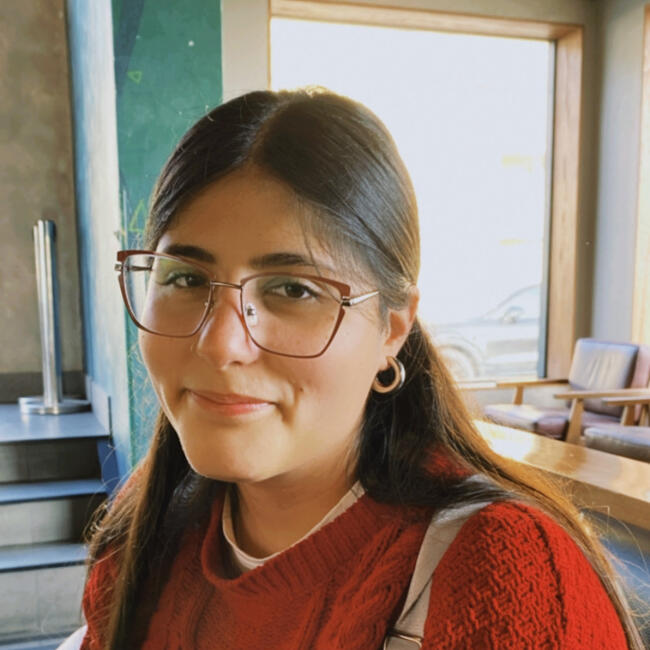 Babysitter in Viña del Mar: Maria