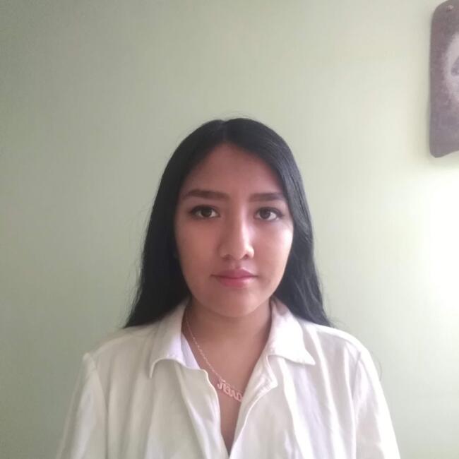 Niñera en Antofagasta: Caren