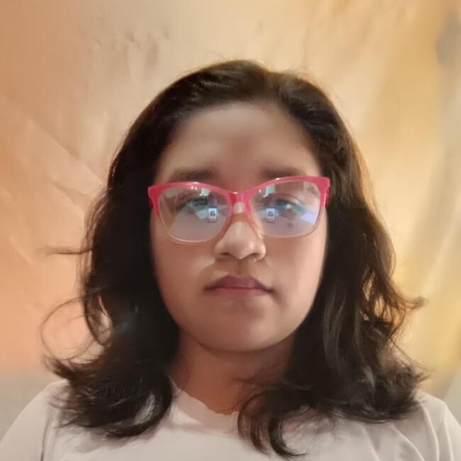 Babysitter in Posadas: Brenda