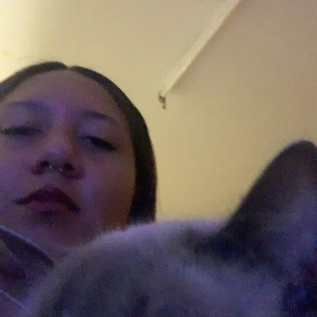Babysitter in Brisbane: Oriana