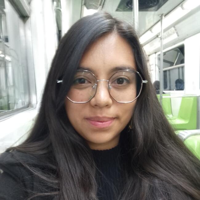 Niñera en Ciudad de México: Zaira