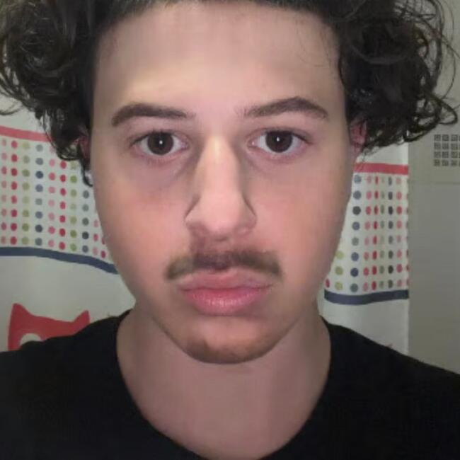 Babysitter in Leeds: Shervin