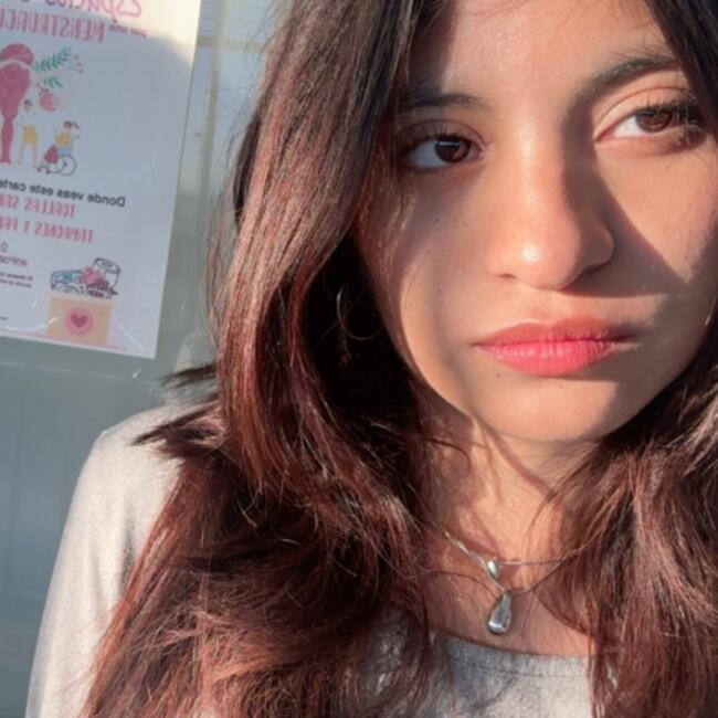 Niñera en Adolfo López Mateos: Fernanda