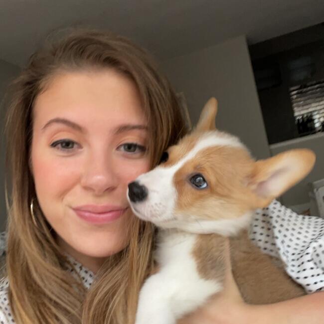 Babysitter in Chicago: Rachael