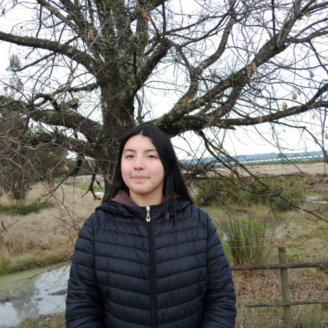 Babysitter in Cholchol: Acsa