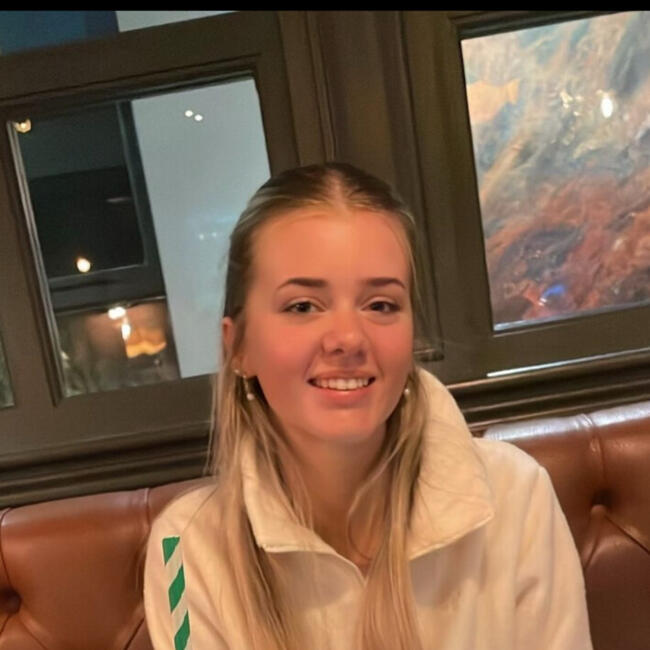 Babysitter in Knocklong: Chloe