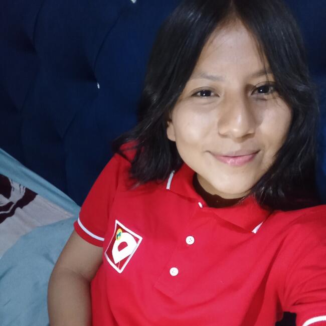 Babysitting job in Bogotá: Yuli