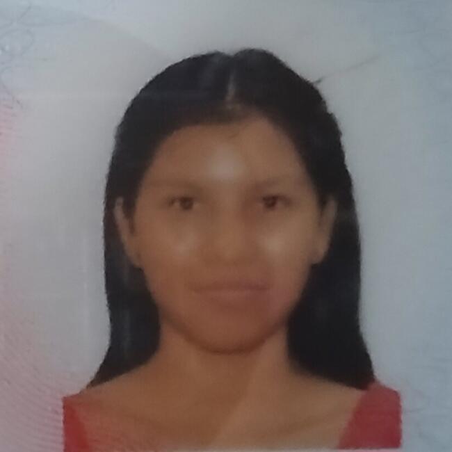 Niñera en Arraiján: Inglaricia