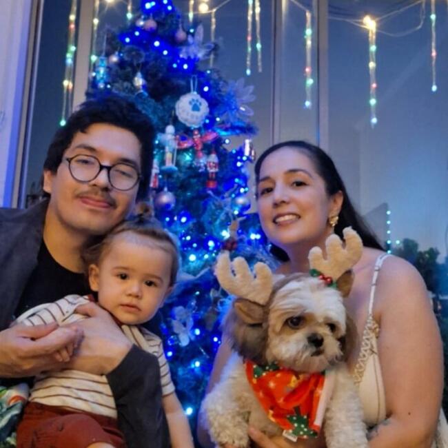 Babysitting job in Antofagasta: Rafael