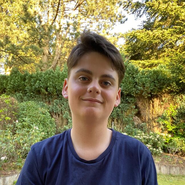 Babysitter in Braine-l'Alleud: Amaury