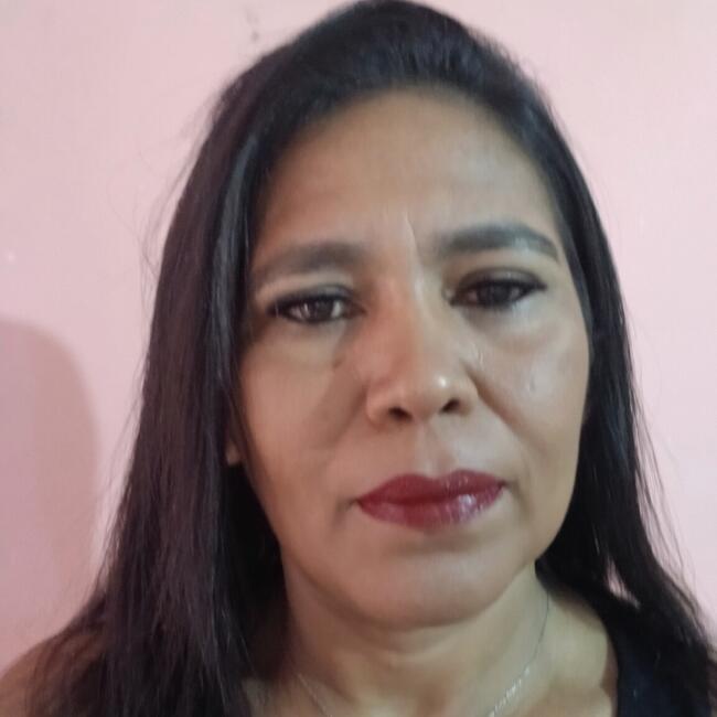 Babá em São Paulo (São Paulo): Claudineia
