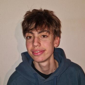 Babysitter in Maisons-Alfort: Alexandre