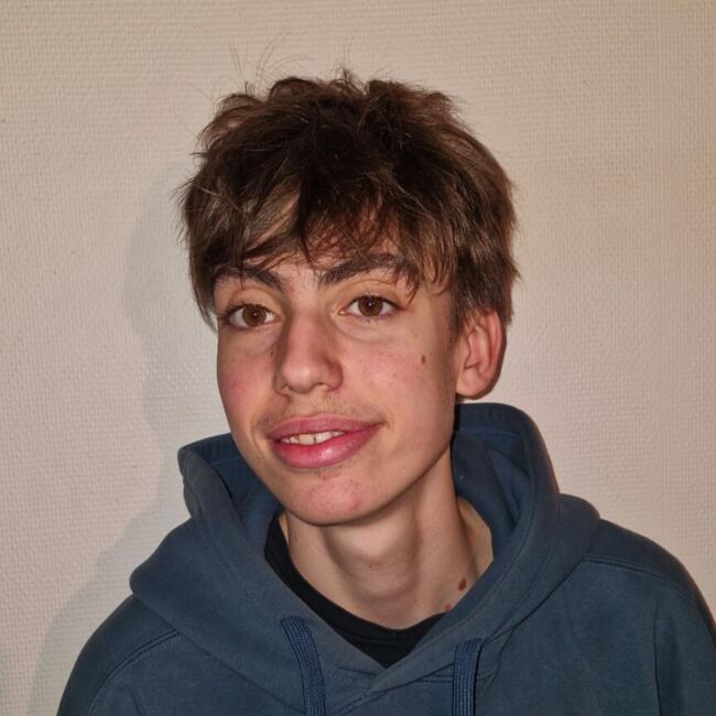 Babysitter in Maisons-Alfort: Alexandre
